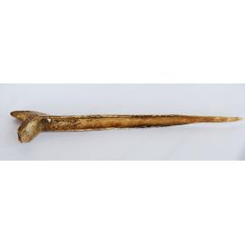 Cassowary bone dagger with bird on top